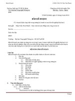 Kế hoạch báo cáo công tác kỹ sư pps