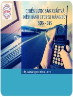 CHIẾN LƯỢC SẢN XUẤT VÀ ĐIỀU HÀNH CÔNG TY CỔ PHẦN XI MĂNG BÚT SƠN  BTS