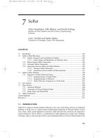 Handbook of Plant Nutrition - chapter 7 pot