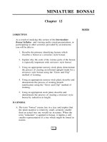 INTERMEDIATE BONSAI - Part 5 pps