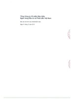 công ty cổ phần bảo hiểm ngân hàng đầu tư và phát triển việt nam bic báo cáo tài chính hợp nhất năm 2013