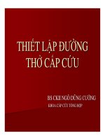 Thiết lập đường thở cấp cứu (Phần 1) pps