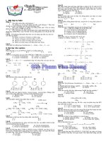 dan xuat halogen-2010