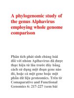 A phylogenomic study of the genus Alphavirus employing whole genome comparison ppsx