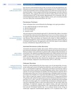 Spinal Disorders: Fundamentals of Diagnosis and Treatment Part 52 pdf