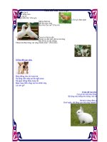 cau do cac con vat nuoi trong gia dinh cho tre 3 tuoi