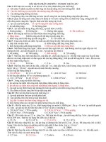 Bai Tap Co hoc chat luu