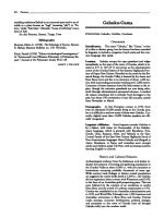 Encyclopedia of World Cultures Volume 2 - Oceania - G ppsx