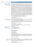 Spinal Disorders: Fundamentals of Diagnosis and Treatment Part 51 ppt