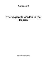 The vegetable garden in the tropics - Part 1 potx