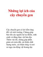 Những lợi ích của cây chuyển gen ppt