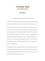 LUYỆN ĐỌC TIẾNG ANH QUA CÁC TÁC PHẨM VĂN HỌC –The Black Tulip ALEXANDRE DUMAS CHAPTER 7 ppt