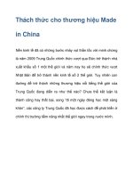 Thách thức cho thương hiệu Made in China pptx