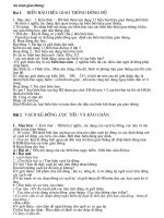 Antoan giaothong lop 4