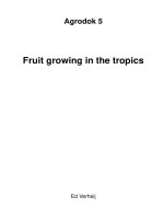 Fruit growing in the tropics - Part 1 potx
