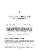 MANAGING THE RISKS OF PAYMENT SYSTEMS CHAPTER 7 potx