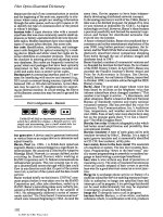 Fiber Optics Illustrated Dictionary - Part 12 doc