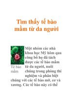 Tìm thấy tế bào mầm từ da người pptx