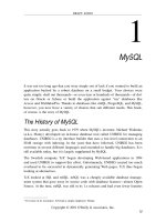 Hướng dẫn sử dụng MySQL part 1 ppt