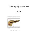 Viêm tuỵ cấp và mãn tính (Kỳ 3) ppt