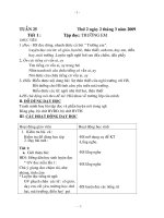 gia an tuan 29 lop 1