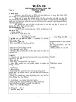 Giáo án lớp 4 tuần 28( CKTKN) cả ngày