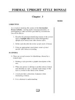 INTERMEDIATE BONSAI - Part 2 potx