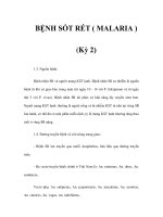 BỆNH SỐT RÉT ( MALARIA ) (Kỳ 2) pot