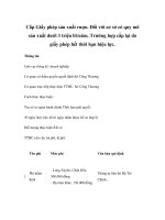 Cấp Giấy phép sản xuất rượu. Đối với cơ sở có quy mô sản xuất dưới 3 triệu lít/năm. Trường hợp cấp lại do giấy phép hết thời hạn hiệu lực. doc