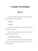 U lympho Non Hodgkin (Kỳ 1) pot