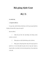 Bài giảng bệnh Gout (Kỳ 3) potx