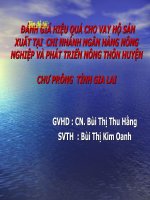 Đánh giá hiệu quả cho vay hộ sản xuất tại chi nhánh ngân hàng nông nghiệp và phát triển nông thôn huyện chư prông tỉnh Gia Lai pps