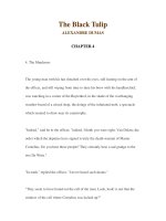 LUYỆN ĐỌC TIẾNG ANH QUA CÁC TÁC PHẨM VĂN HỌC –The Black Tulip ALEXANDRE DUMAS CHAPTER 4 potx