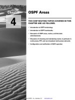 CCNP Routing Study Guide- P6 pps