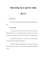 Đại cương Áp xe gan do Amip (Kỳ 1) doc