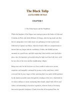 LUYỆN ĐỌC TIẾNG ANH QUA CÁC TÁC PHẨM VĂN HỌC –The Black Tulip ALEXANDRE DUMAS CHAPTER 5 ppsx