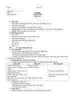 Khối 1_Tuần 29_Mới