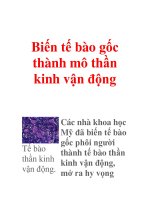 Biến tế bào gốc thành mô thần kinh vận động potx