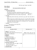 Giáo án kì 2 - Lớp 2 - CKTKN