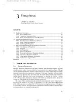 Handbook of Plant Nutrition - chapter 3 ppsx
