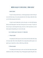 RỐI LOẠN CẢM GIÁC, TRI GIÁC doc