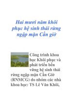 Hai mươi năm khôi phục hệ sinh thái rừng ngập mặn Cần giờ pot