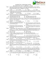 Thi thử Vật Lý ĐH - 2009 - THPT Lương Ngọc Quyền pdf