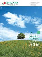 annual report báo cáo thường niên 2006 ngân hàng ngoài quốc doanh cuộc sống mới vpbank