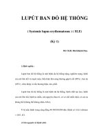 LUPÚT BAN ĐỎ HỆ THỐNG (Kỳ 1) ppt
