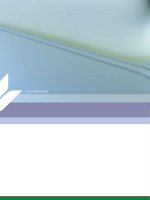 annual report báo cáo thường niên 2009 ngân hàng việt nam thịnh vượng vpbank