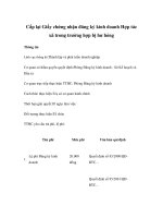 Cấp lại Giấy chứng nhận đăng ký kinh doanh Hợp tác xã trong trường hợp bị hư hỏng potx