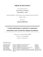 Cristaux photoniques et polymères à empreintes moléculaires pour la détection optique de polluants