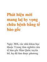 Phát hiện mới mang laị hy vọng chữa bệnh bằng tế bào gốc potx