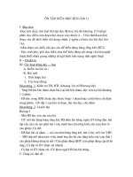 8 TIET ON TAP GIUA KI II ( TV )